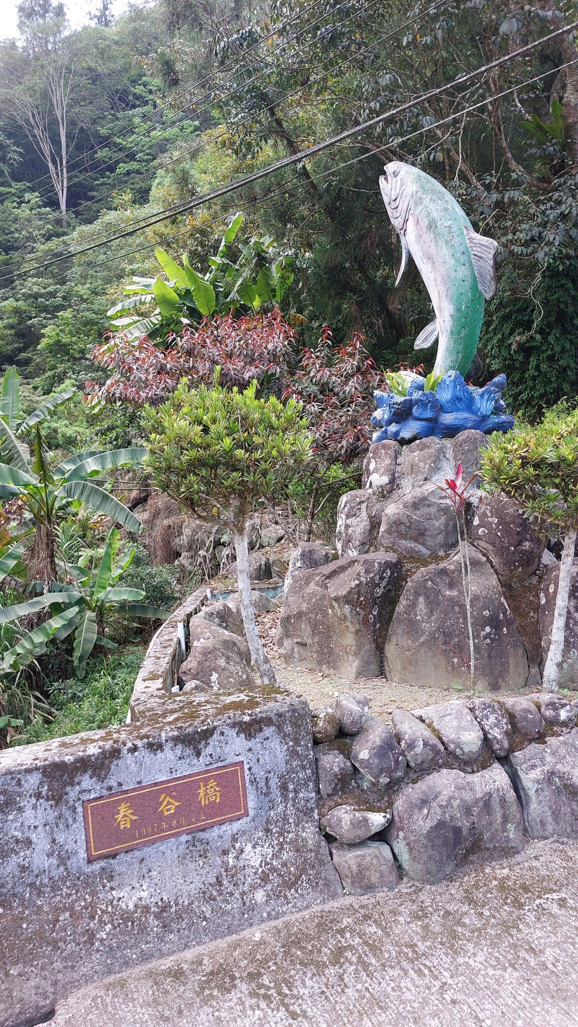 手機上傳