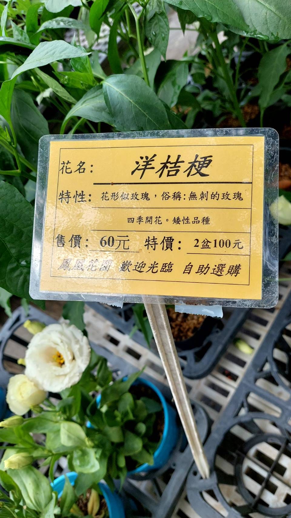 手機上傳