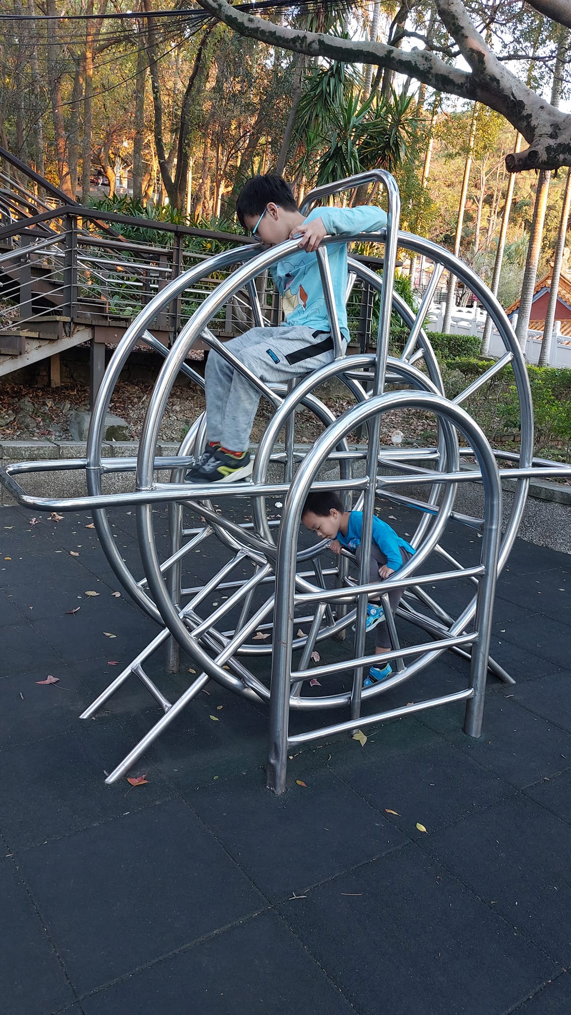 一年沒虎頭山公園親子遊玩