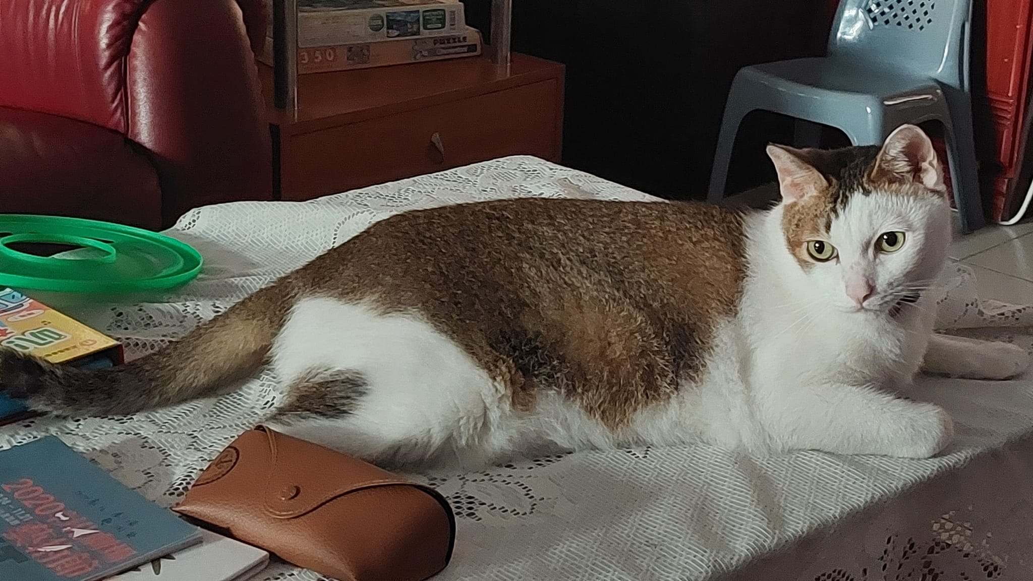 手機上傳
