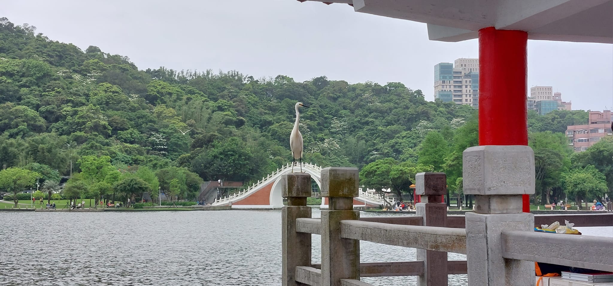 手機上傳
