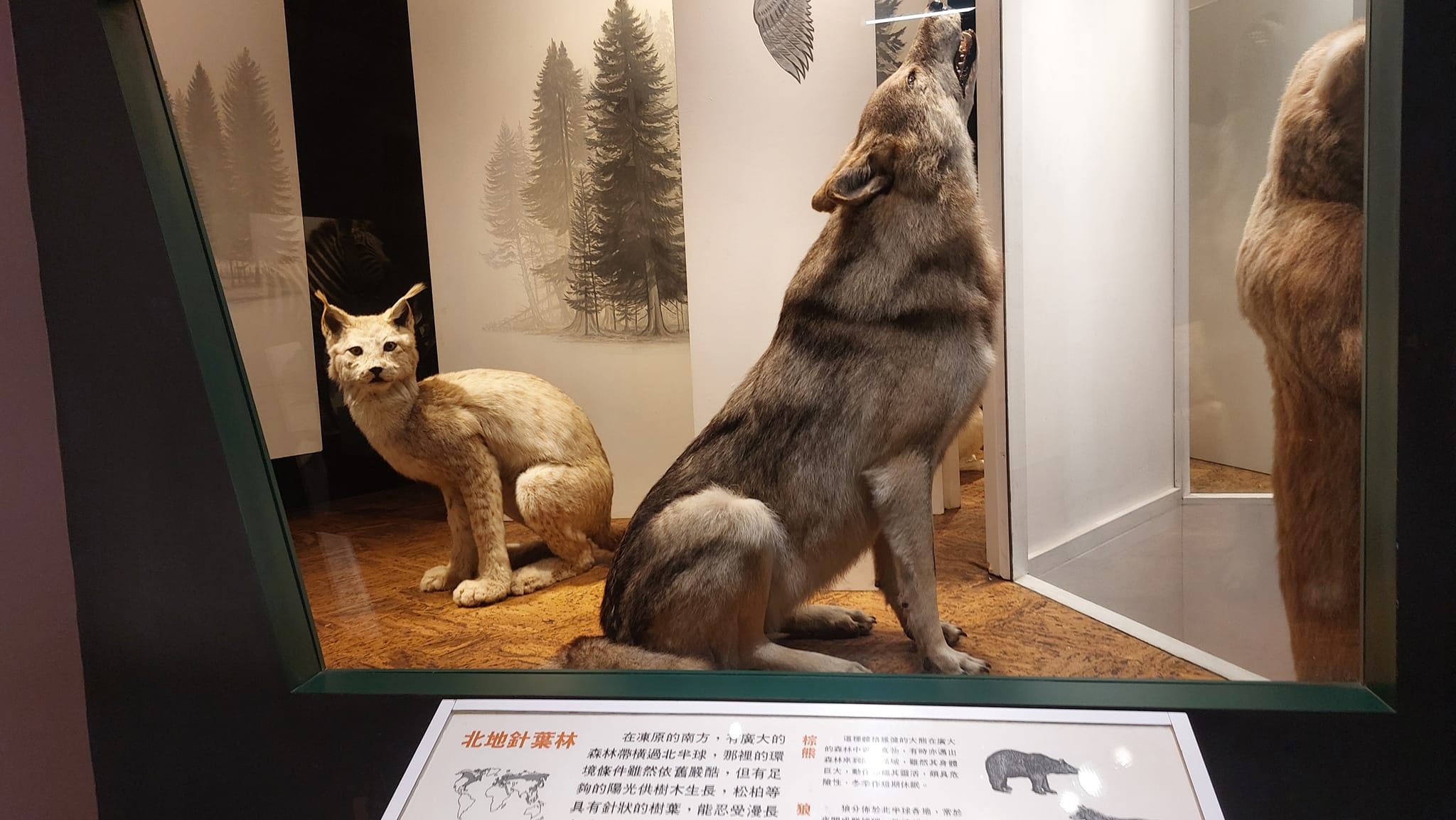 手機上傳