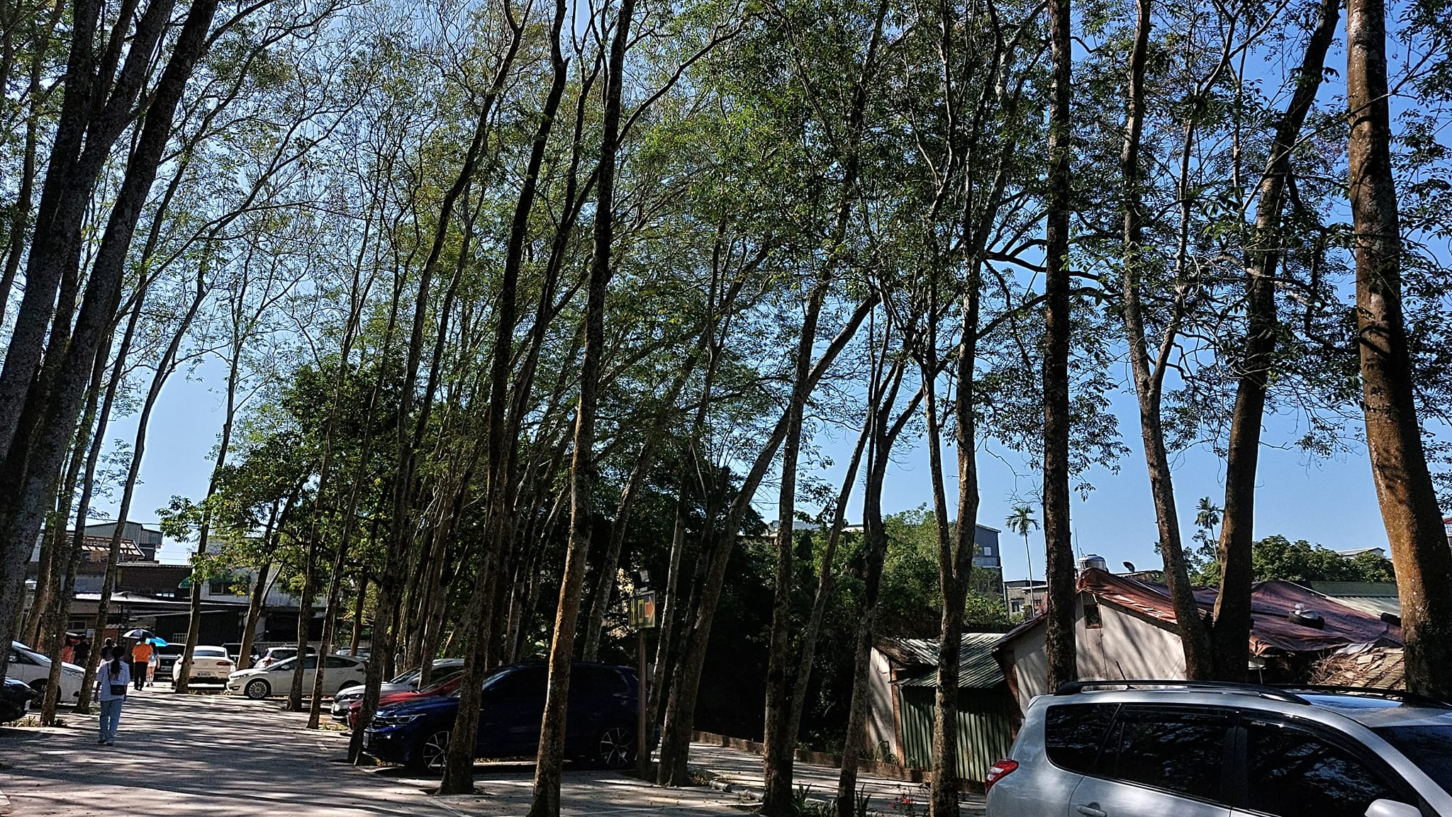 觸角難得到新竹旅遊紀行