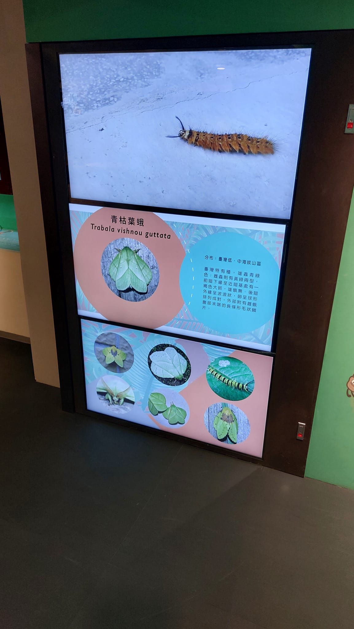 手機上傳