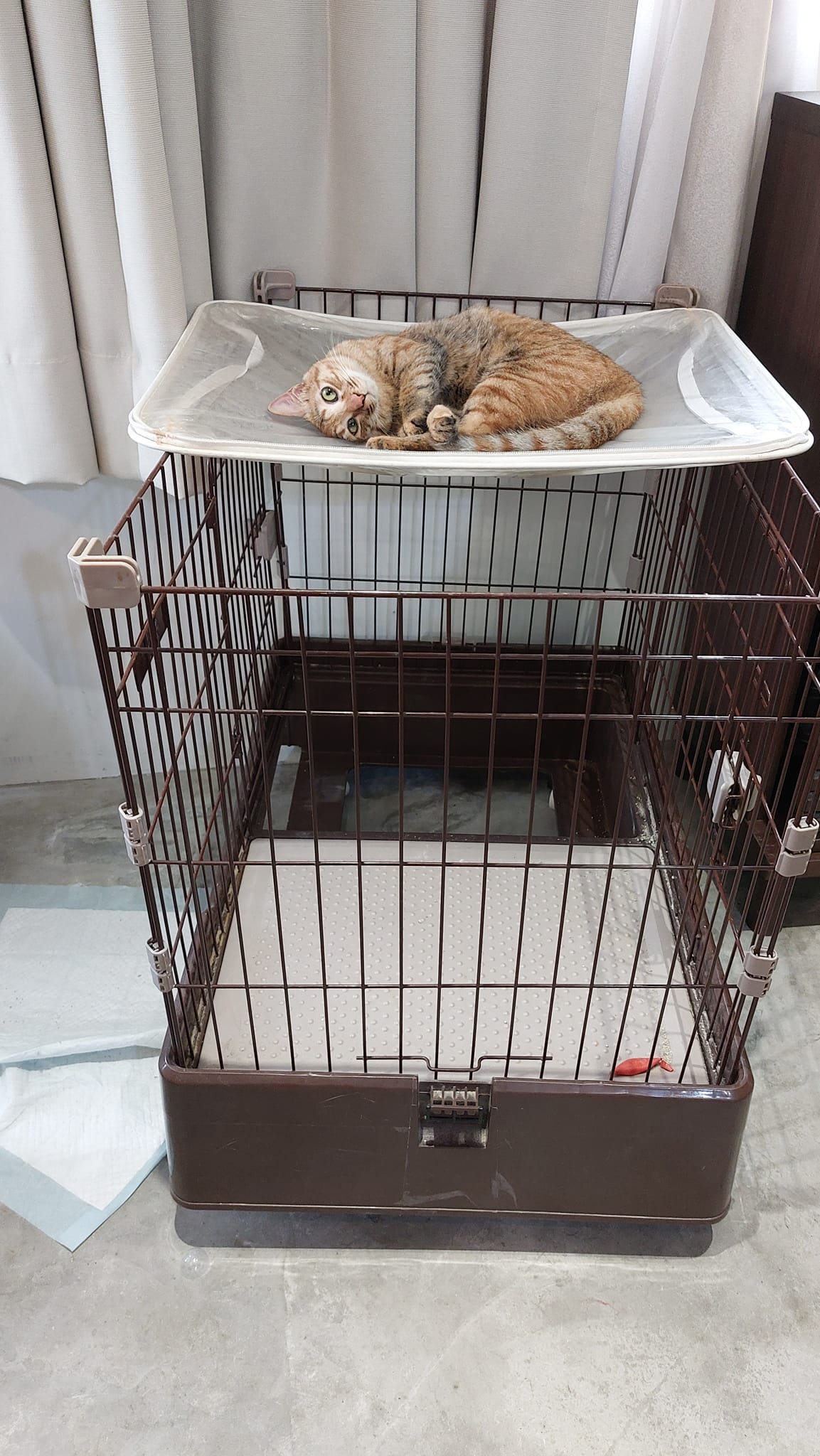 手機上傳