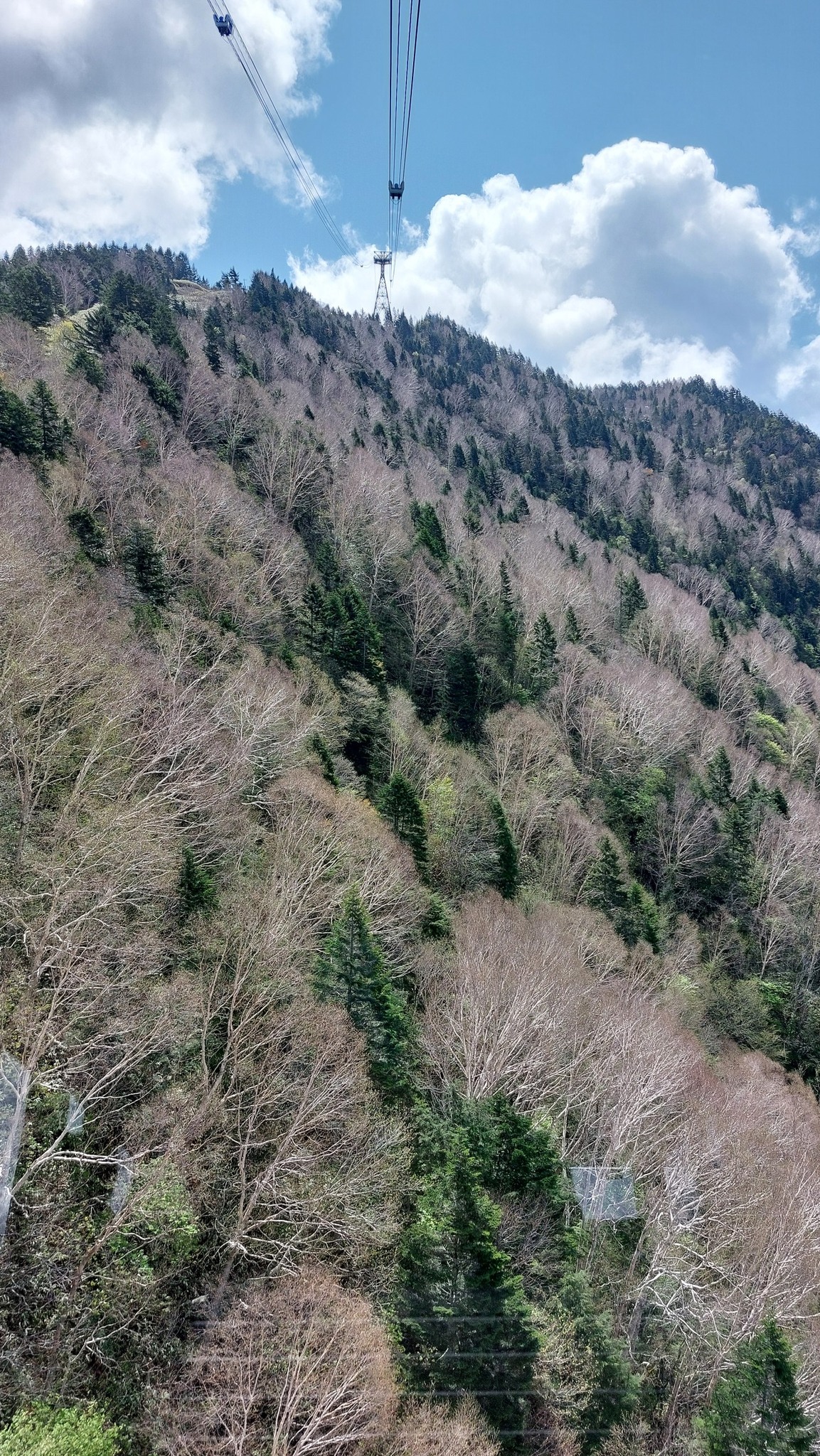 相片