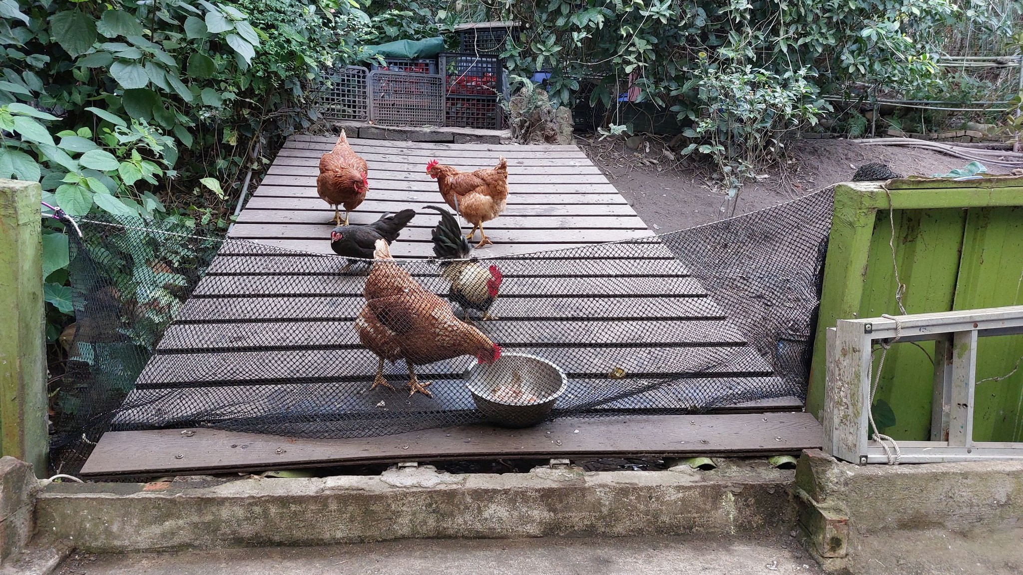手機上傳