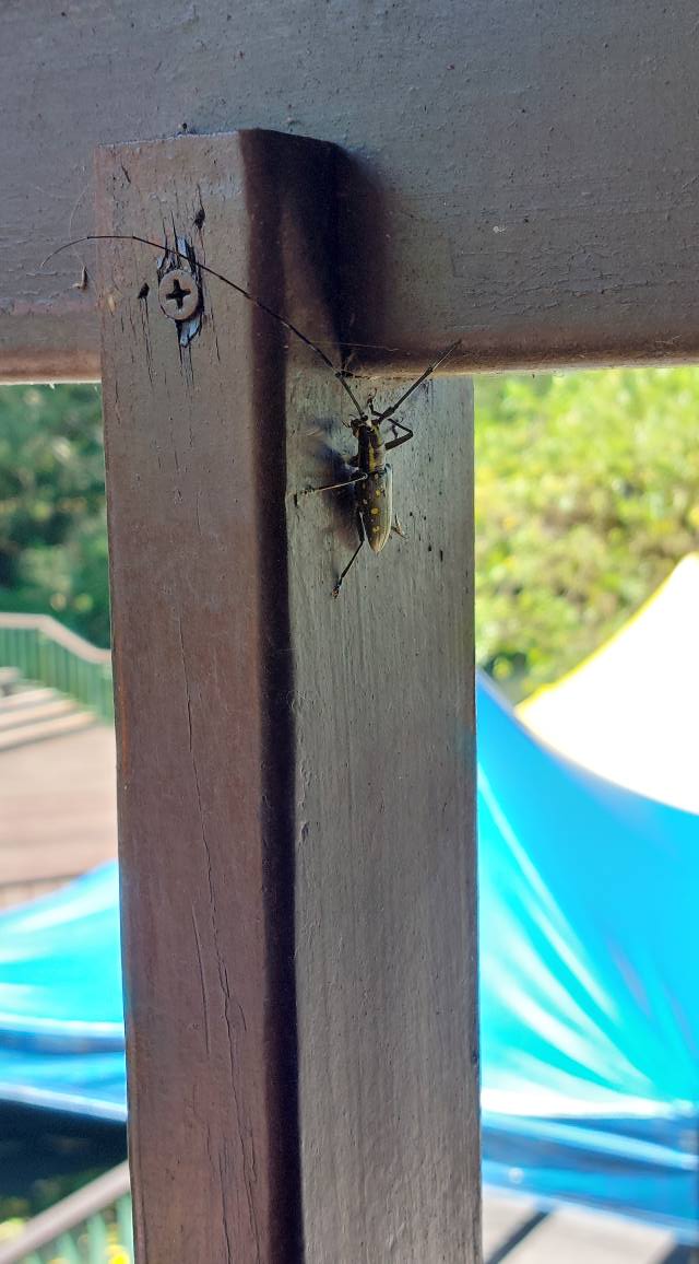 相片
