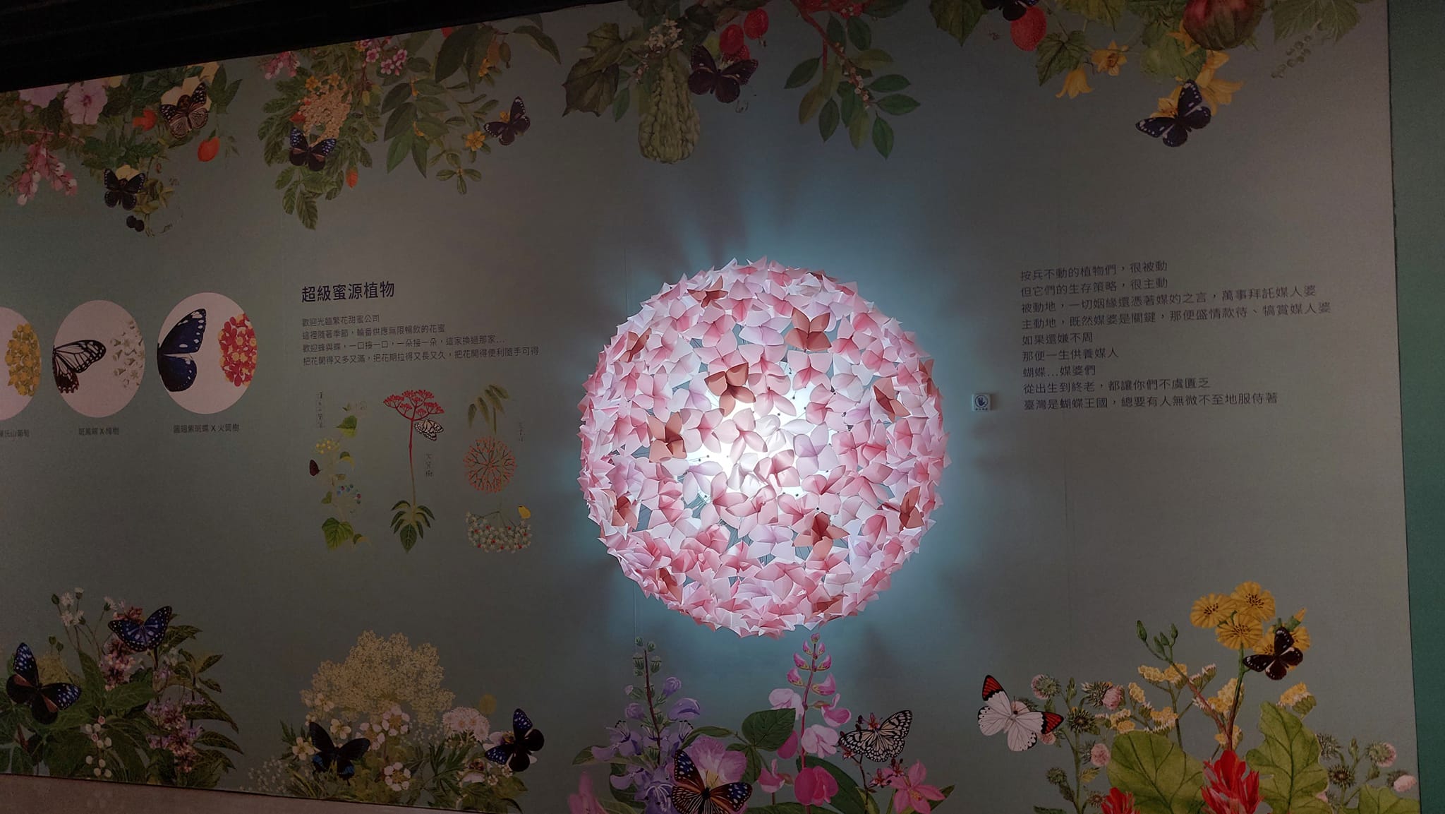 手機上傳