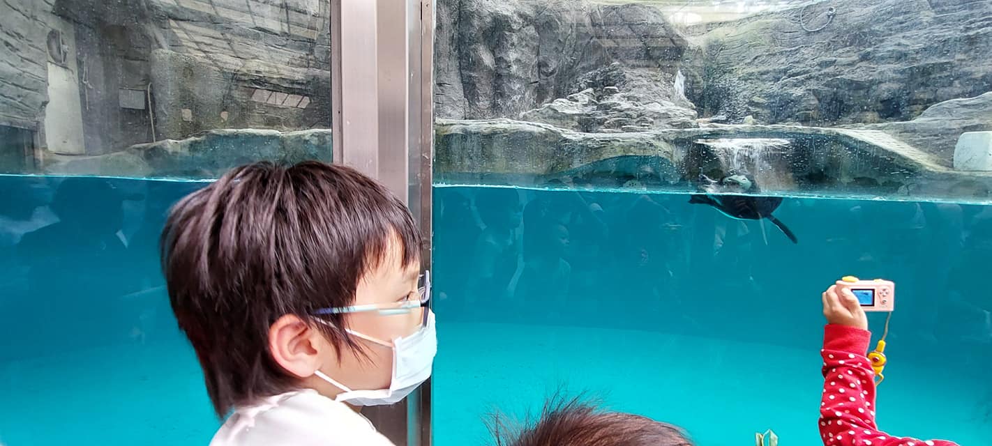 動物園連假有加開餐飲攤販