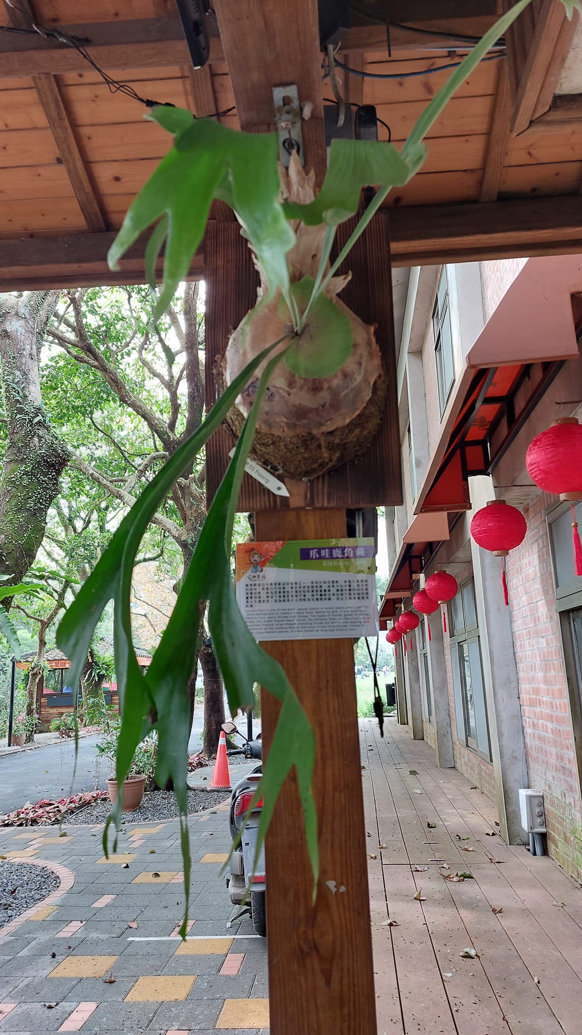 手機上傳