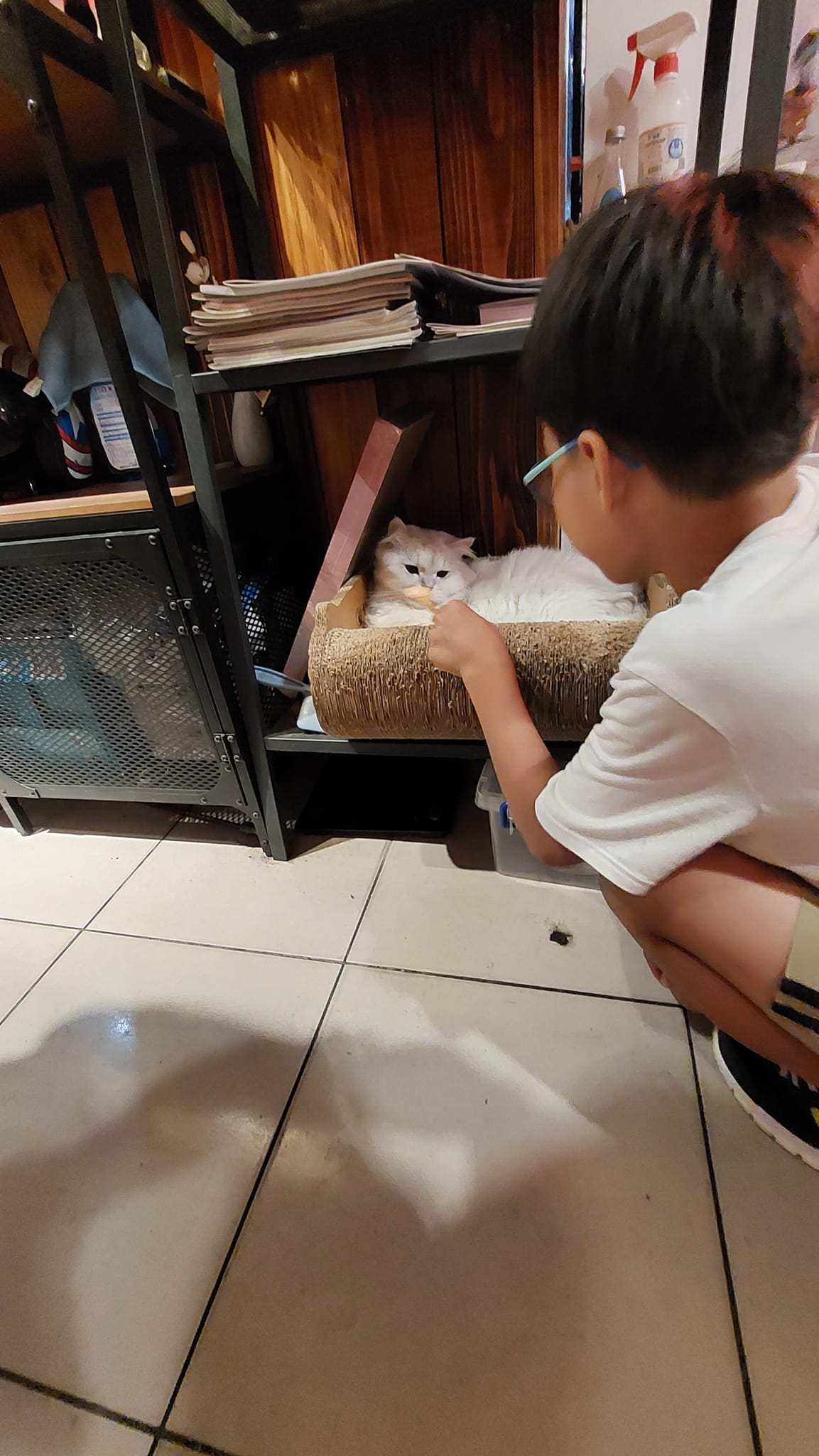 手機上傳