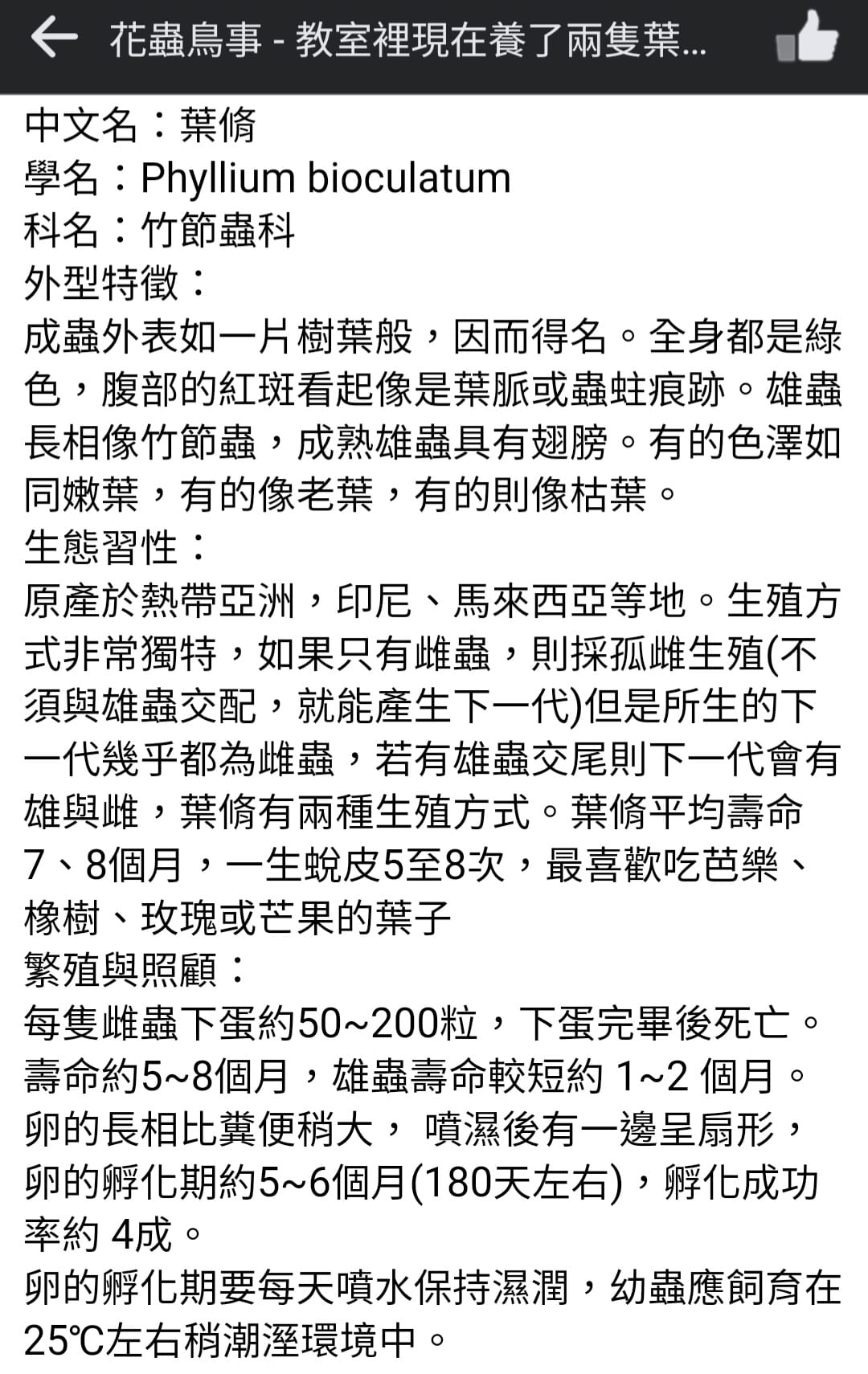 葉葉從二月初