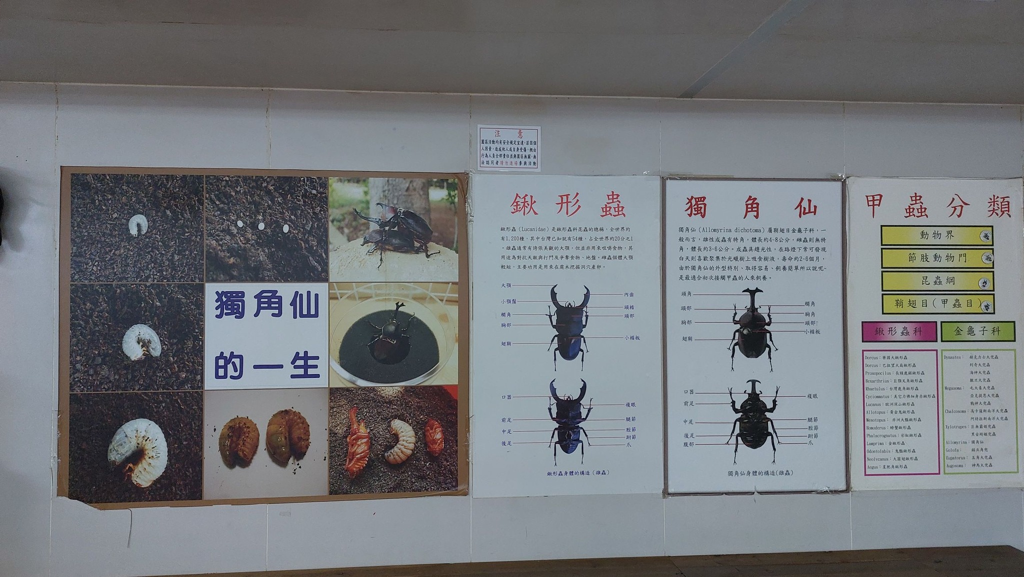手機上傳